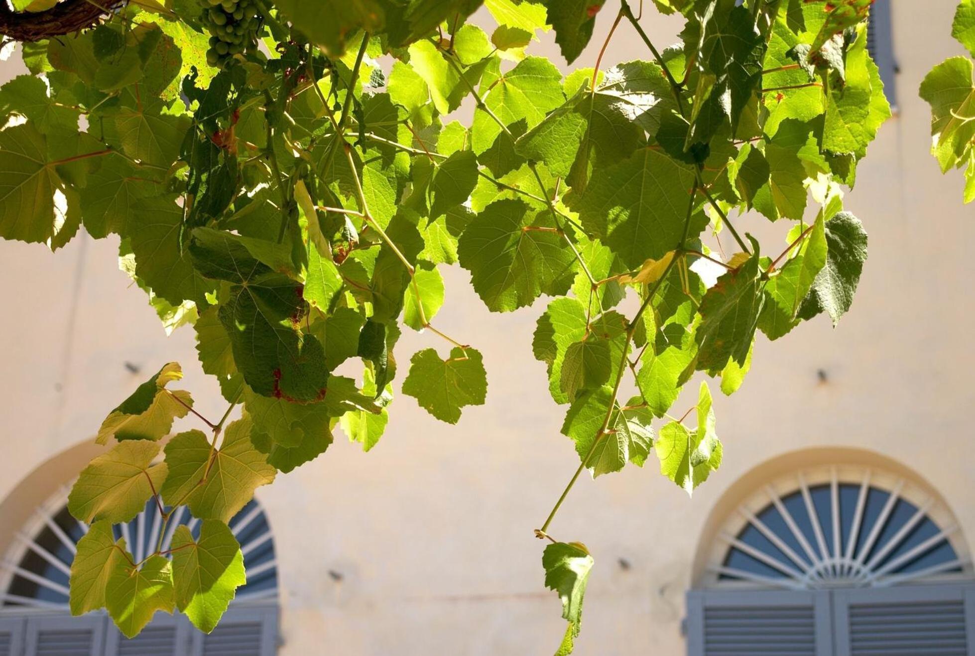 Podere Riparbella Massa Marittima Exterior photo